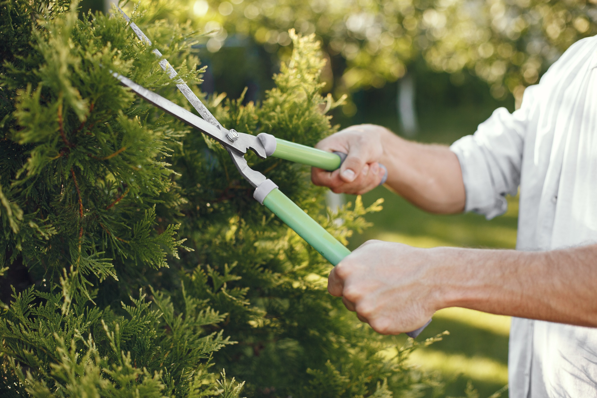 man-trimming-bough-of-brush-guy-works-in-backyard